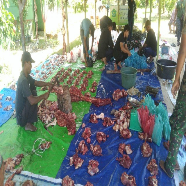 Rayakan Idul Adha 1445 H, MAN 2 Langsa Sembelih 5 Ekor Sapi Qurban
