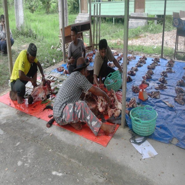 Lembu Kurban Disembelih, Dagingpun Dapat
